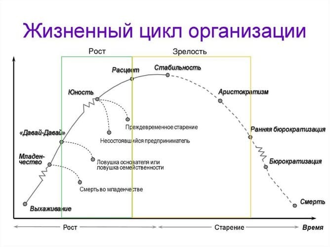Рис. 1. График жизненного цикла организации по Ицхаку Адизесу