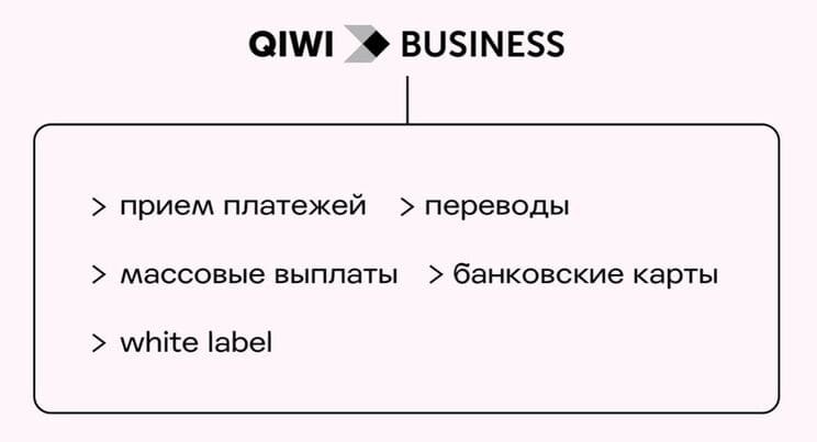 Рис. 1. Направление деятельности QIWI Business