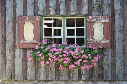 Рис. 6. Герань. Источник: https://pixabay.com/ru/photos/окно-подоконник-цветок-ставни-1567765/