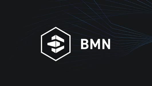 Рис. 1. Логотип BlockStream Mining Notes (BMN). Источник фото: blockstream.com