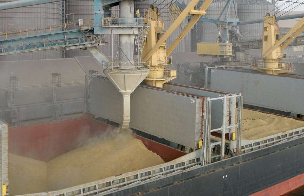 Россия снизила экспорт зерна на 12%