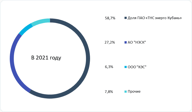 Рис. 5. Источник: годовой отчёт за 2021 г. ПАО «ТНС энерго Кубань»