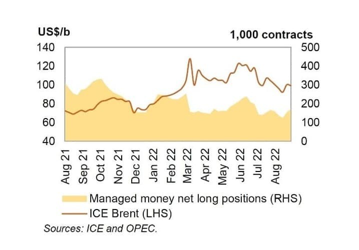 США VS ОПЕК+: почему Америка против снижения добычи нефти